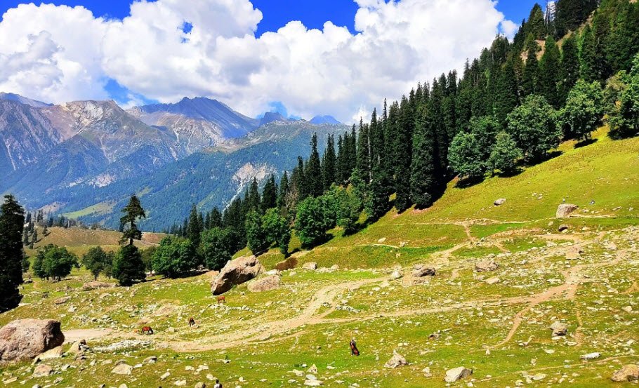 Srinagar, Jammu & Kashmir